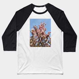 Apple Blossoms Baseball T-Shirt